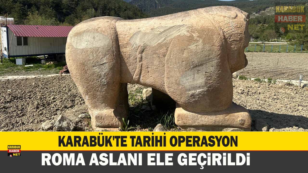 KARABÜK’TE TARİHİ OPERASYON: ROMA ASLANI ELE GEÇİRİLDİ